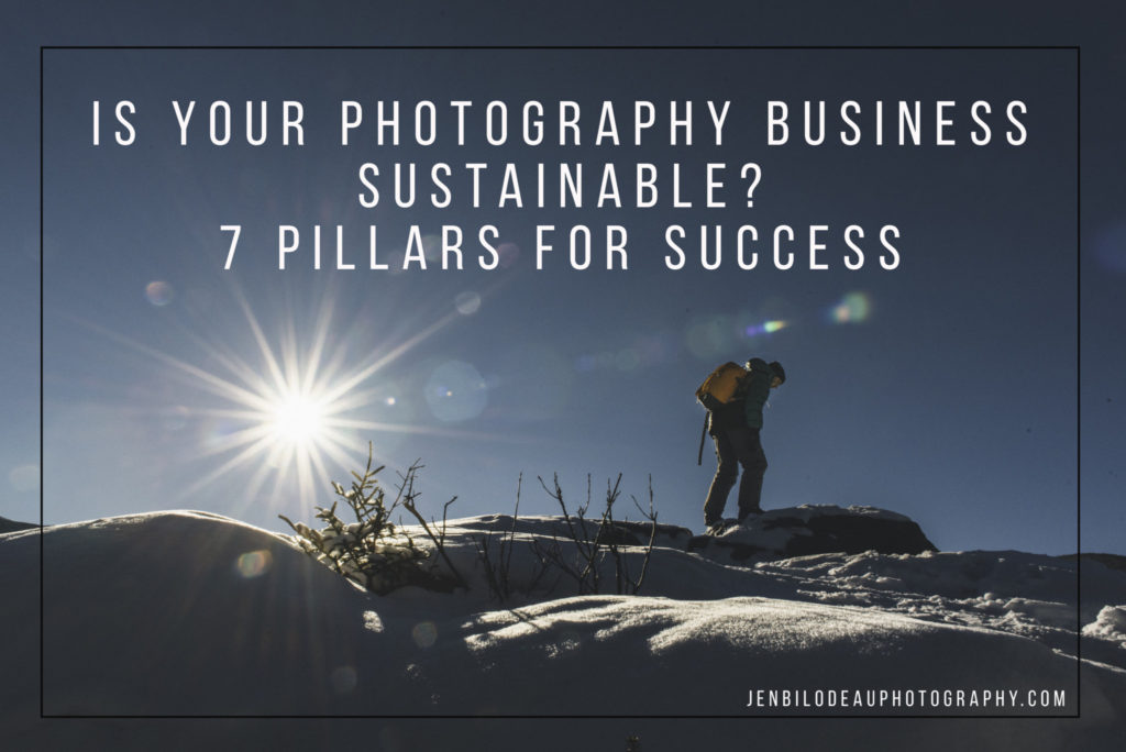 Is Your Photography Business Sustainable?  7 Pillars For Success