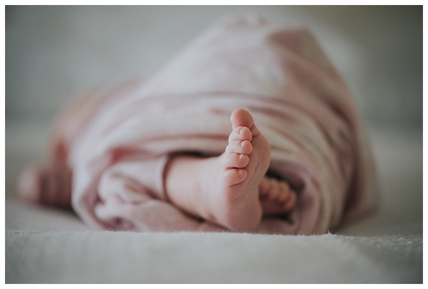 Home Is Wherever I’m With You | Massachusetts Newborn Photographer