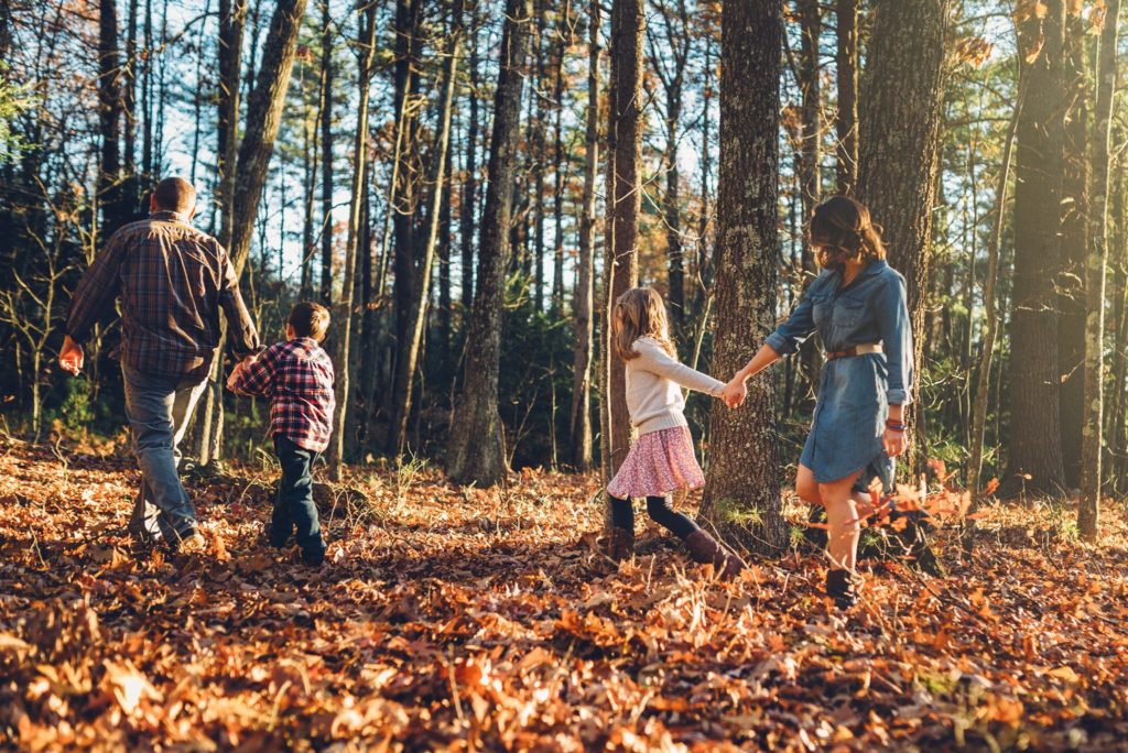 A Walk Through The Woods | Massachusetts Lifestyle Family Photographer ...