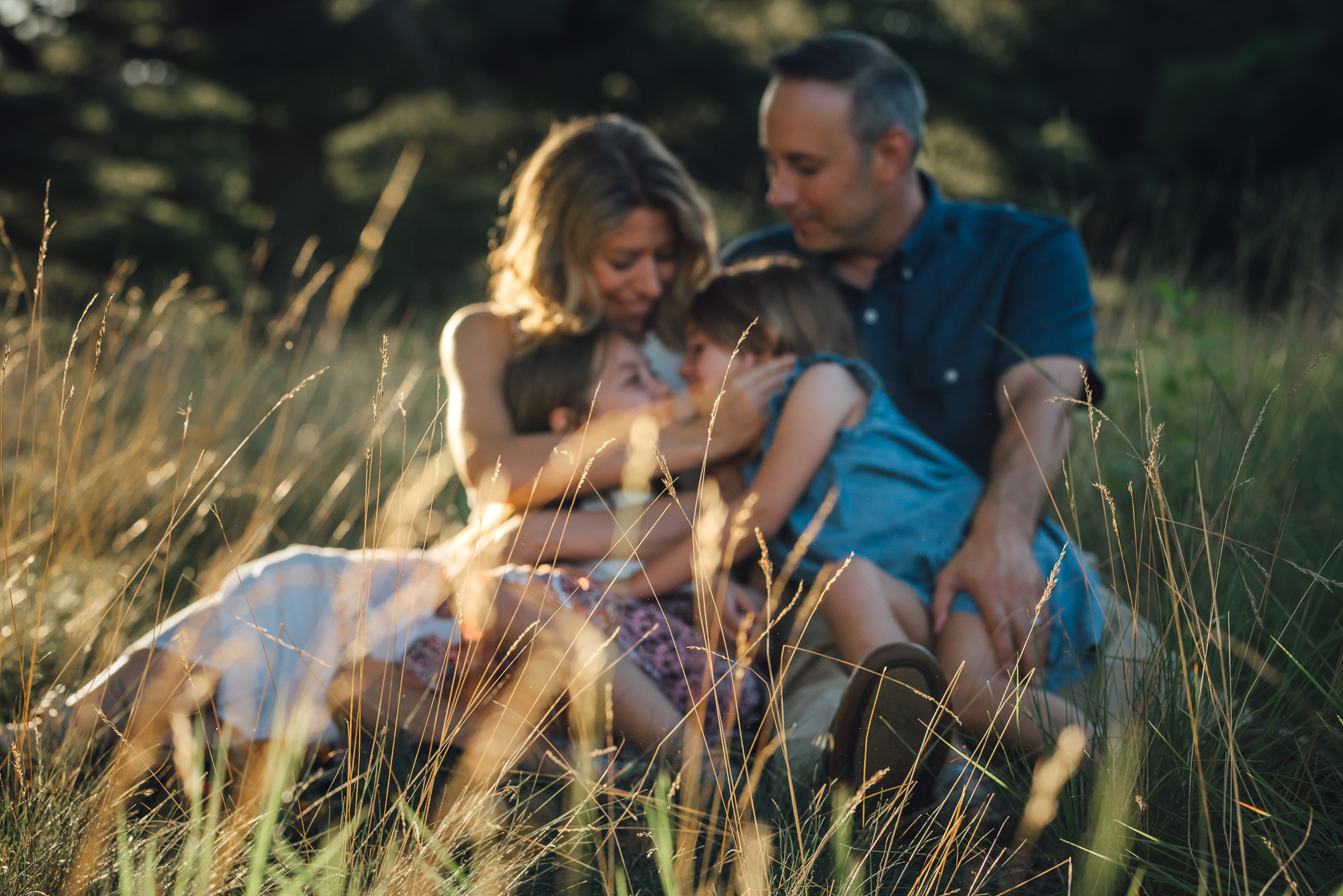 Jen Bilodeau Family Photography 