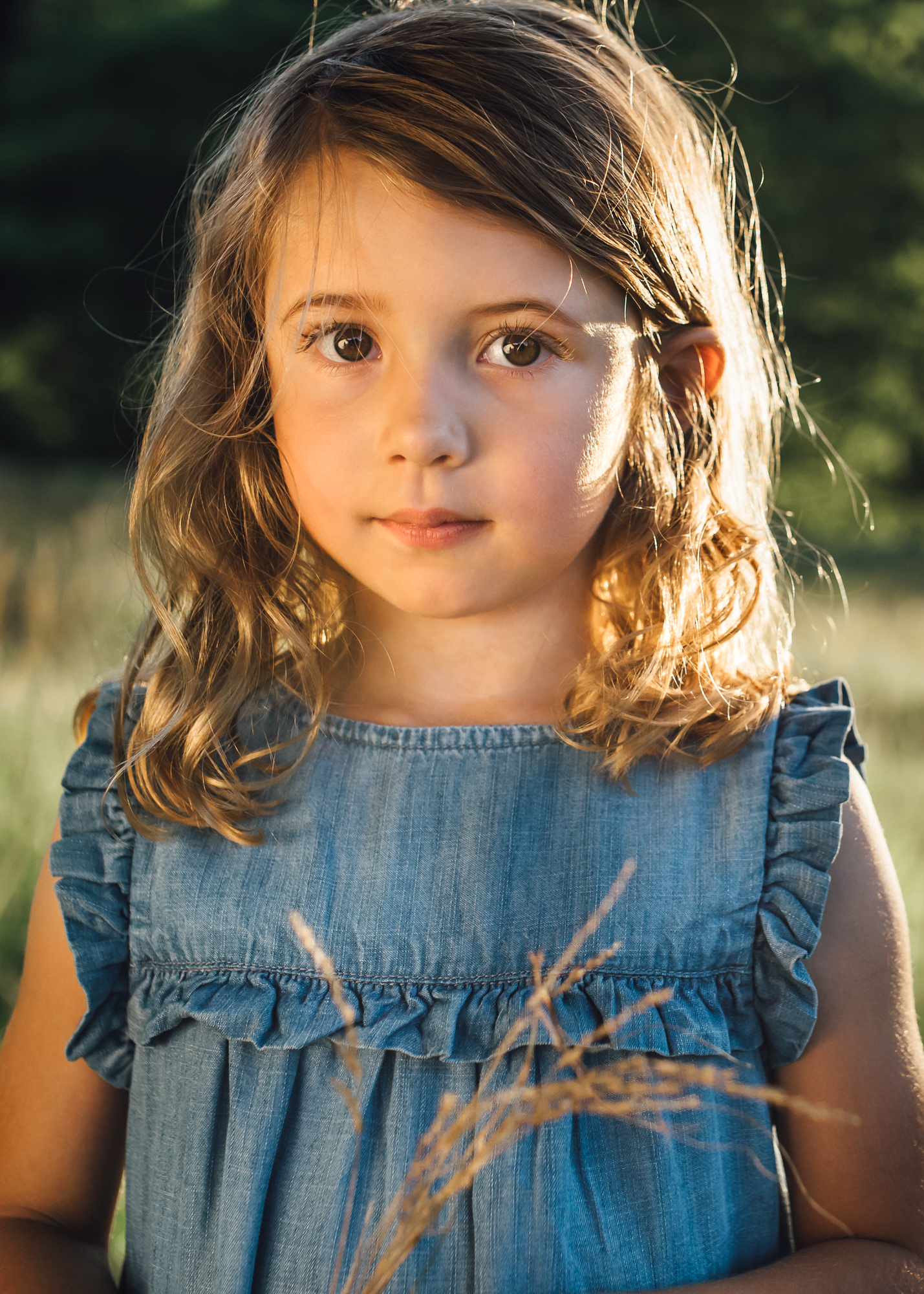 Jen Bilodeau Family Photography 