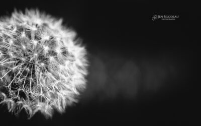 A Spark In Your Soul | North Andover Photographer