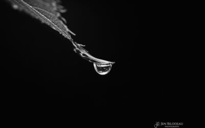 Barely Hanging On