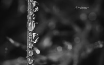Holding On Together…..