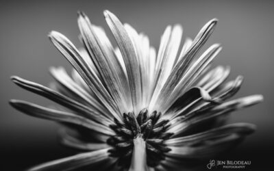 No Macro, No Problem…….