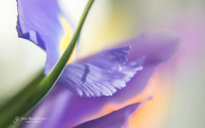 The Beauty Found By My Messy Kitchen Sink