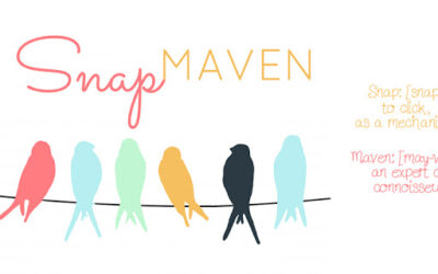 Snap Maven Guest Judge: Embracing The Shadows!